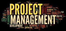 Project Management<
